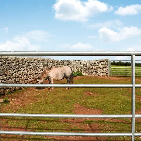 Holiday home The Pod *