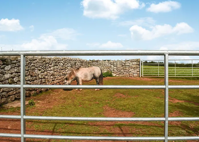 Holiday home The Pod *